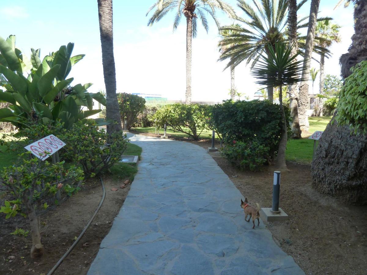 Studio In Top Lage Direkt Am Strand Arguineguin Εξωτερικό φωτογραφία